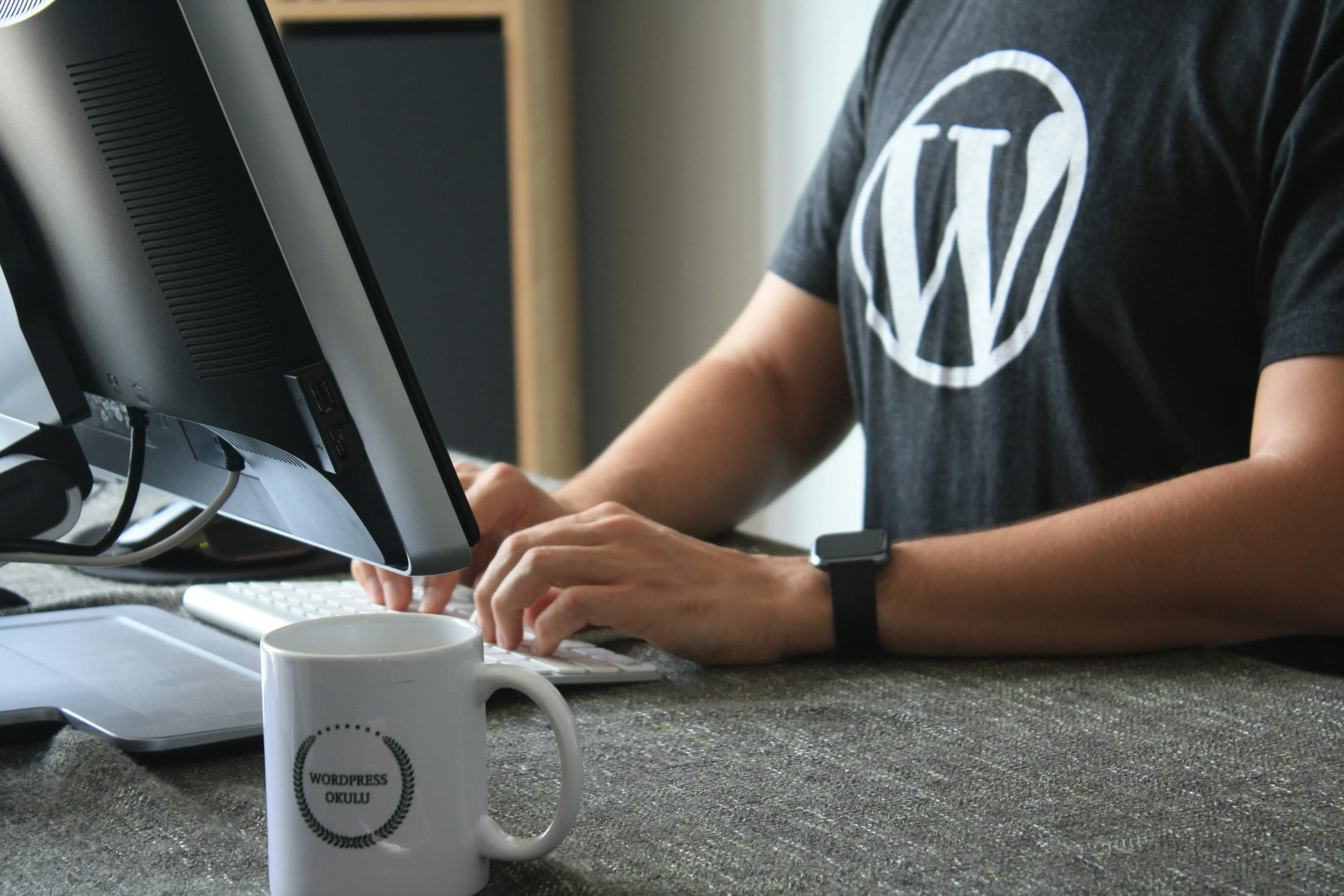wordpress developer working on pc